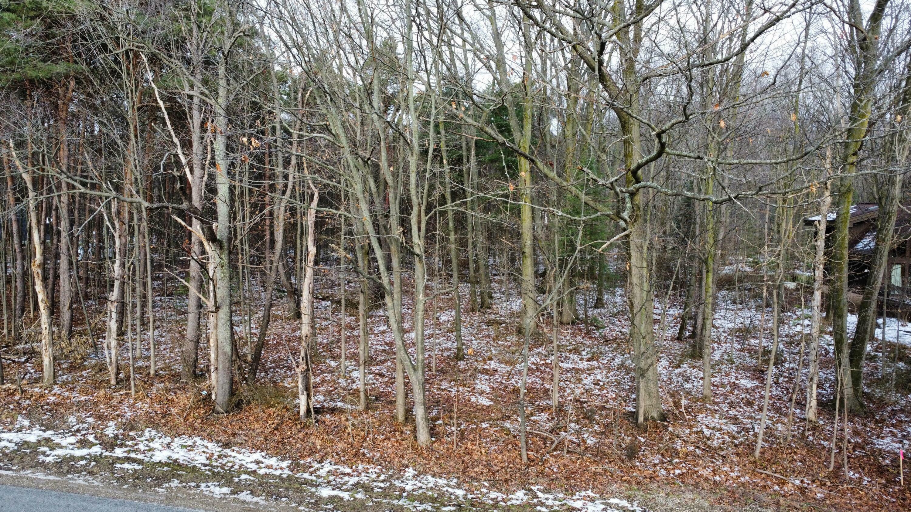Property Photo: Lot 1 V/L James St MI 49424