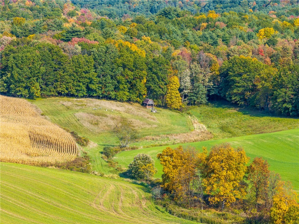 Property Photo:  00 Fish Hatchery Rd Street  NY 14810 