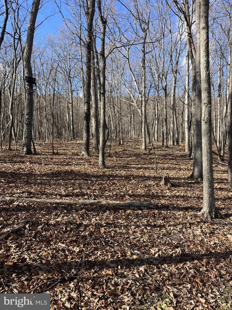 Property Photo: Lot 3 Falconwood Road WV 26817