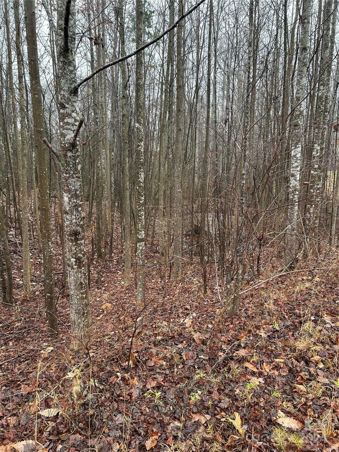 Property Photo:  Lot 14 Willow Ridge Road  NC 28092 