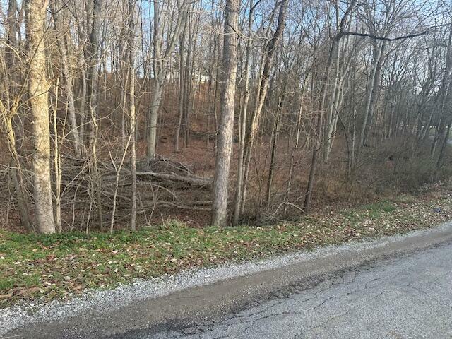 Property Photo: 0 Lemaster Road OH 45701