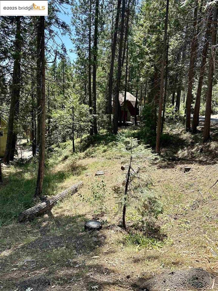 Property Photo: 25391 Rebekah Rd CA 95335