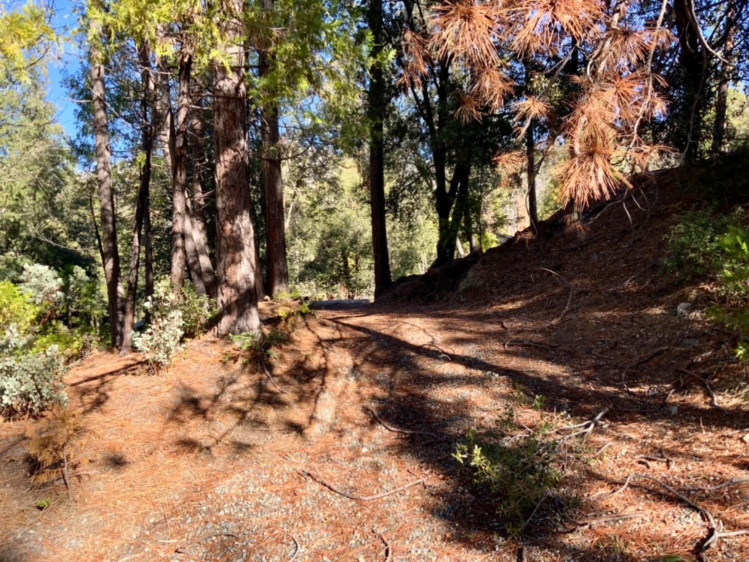 Property Photo: 50963 Chu Ranch Road CA 93644