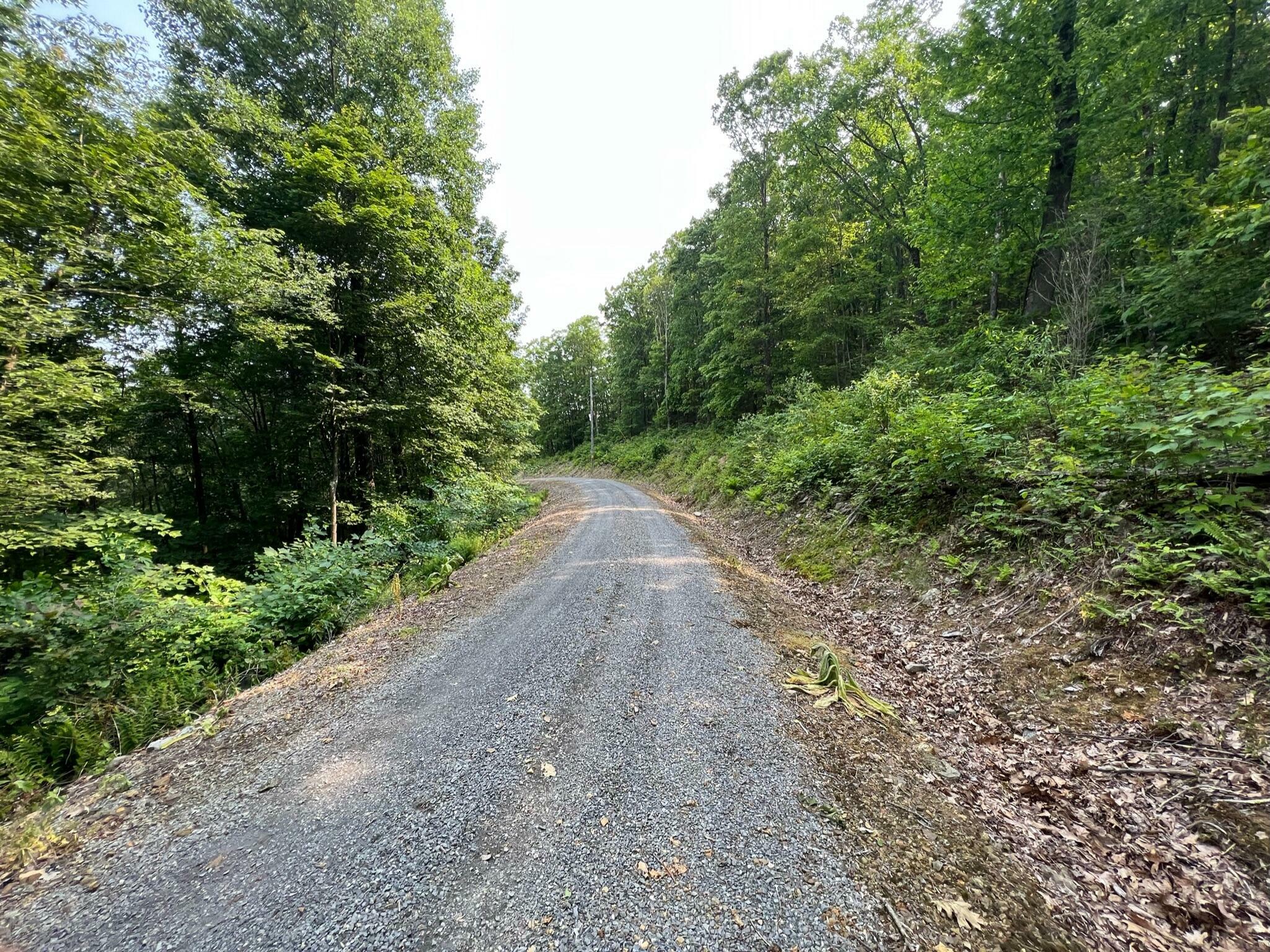 Property Photo:  Lot 29 Katy Drive Overlook At Greenbrier  WV 24986 