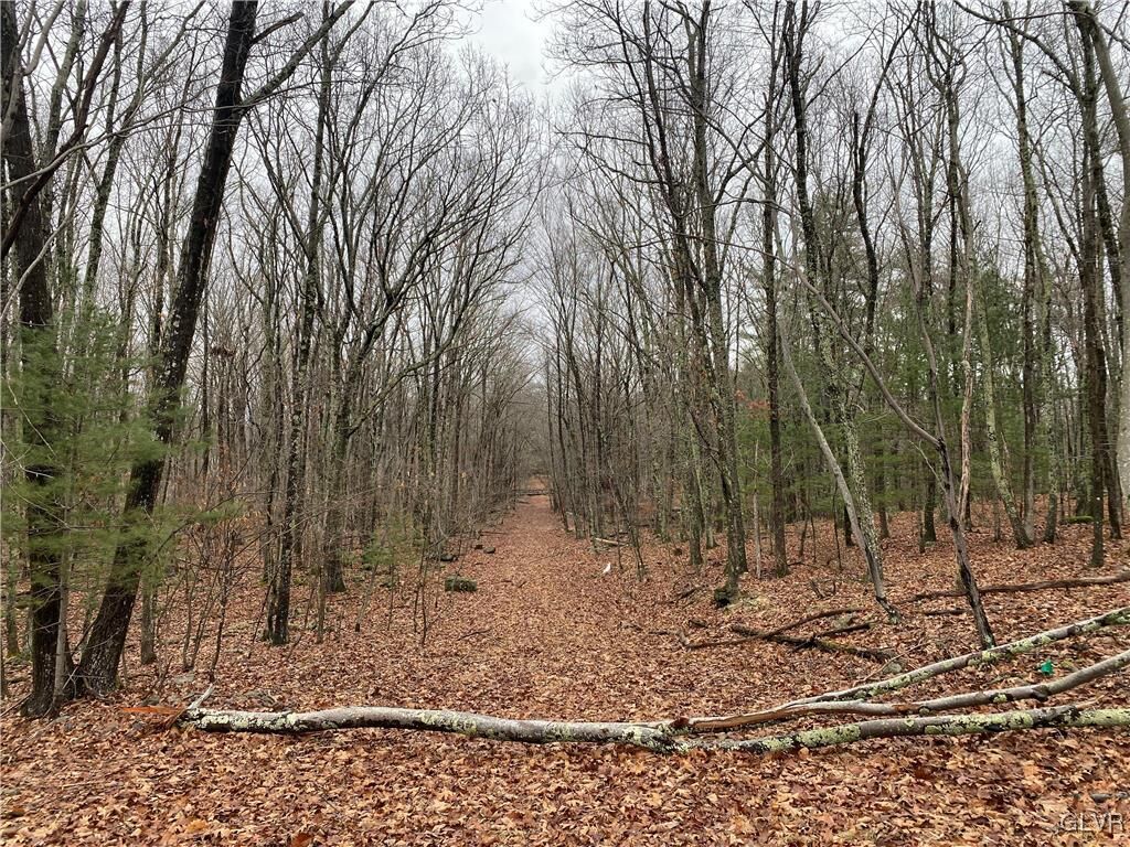Property Photo: 15 Mimosa Rd PA 18302