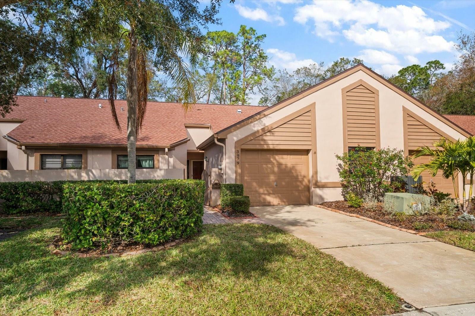 Property Photo:  3979 Mermoor Drive  FL 34685 