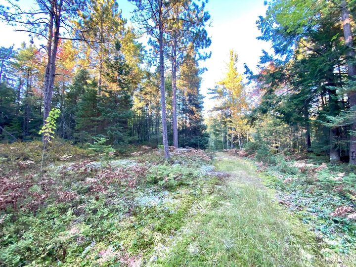 Property Photo:  Tbd Shot Point Drive  MI 49855 