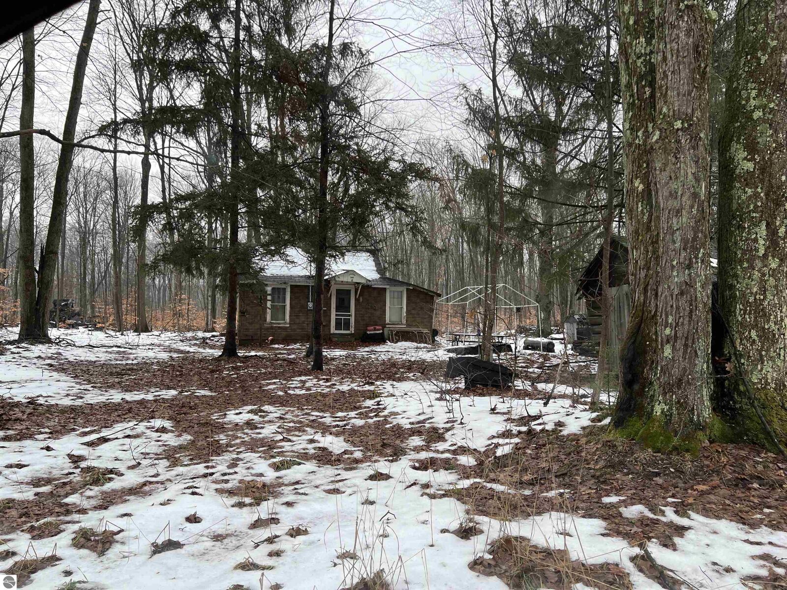 Property Photo: 9919 Nichols Road MI 49601