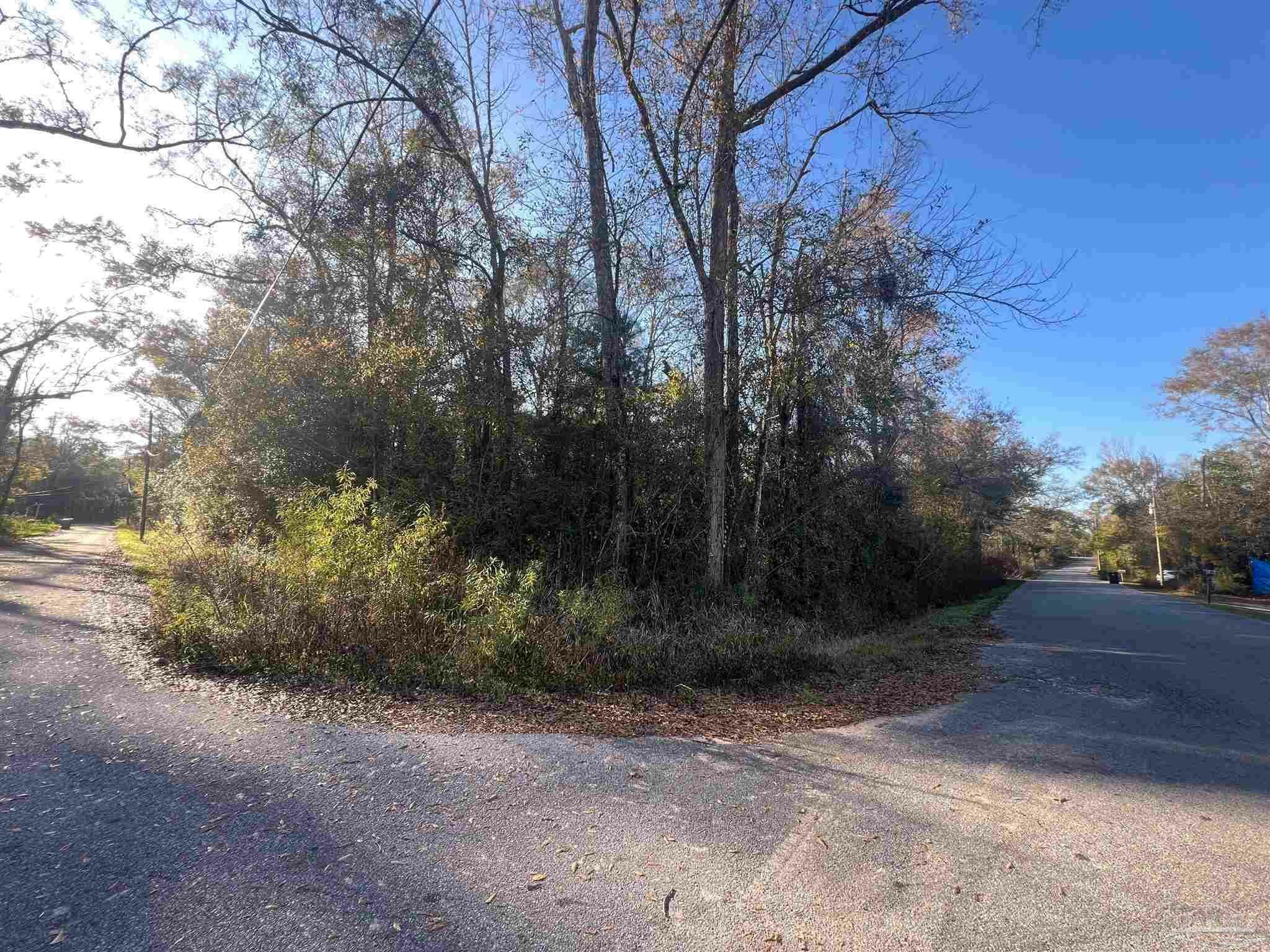 Property Photo:  Brickyard At Blake  FL 32577 