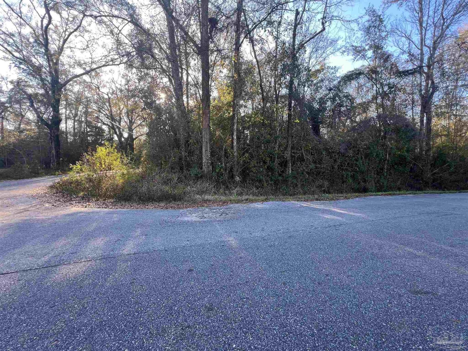 Property Photo:  Brickyard At Blake  FL 32577 