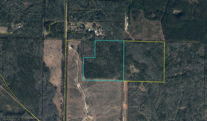 Property Photo: 75 Acres N Highway 81 FL 32455