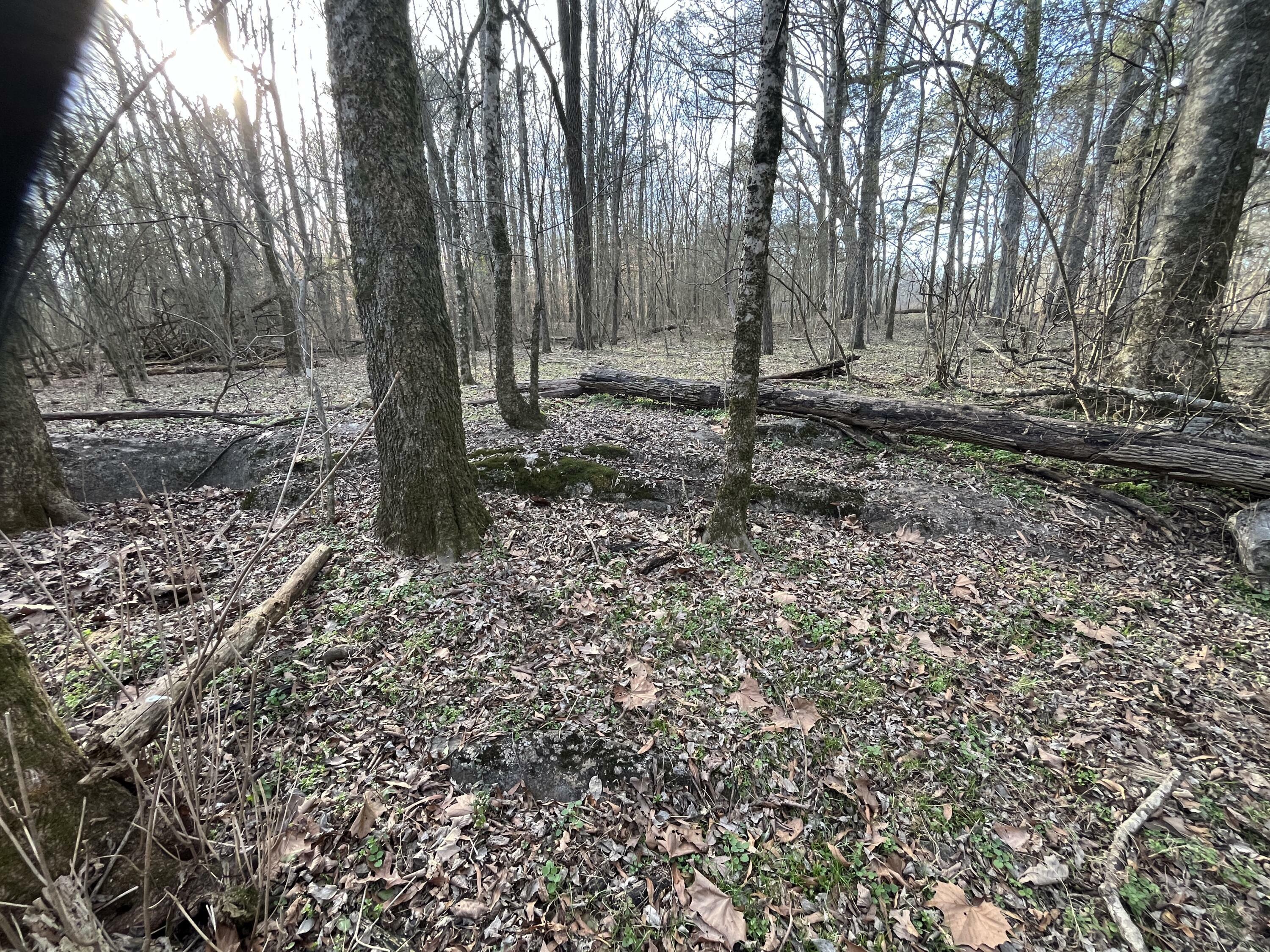 Property Photo: 40 Acres Quinton Road GA 30740