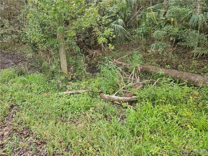 Property Photo:  11924 W Deodar Street  FL 34428 