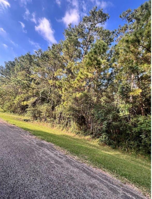 Property Photo:  0 White Bass Lane  TX 77351 