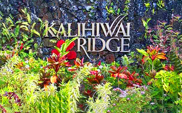 Property Photo:  Kahiliholo Rd  HI 96754 