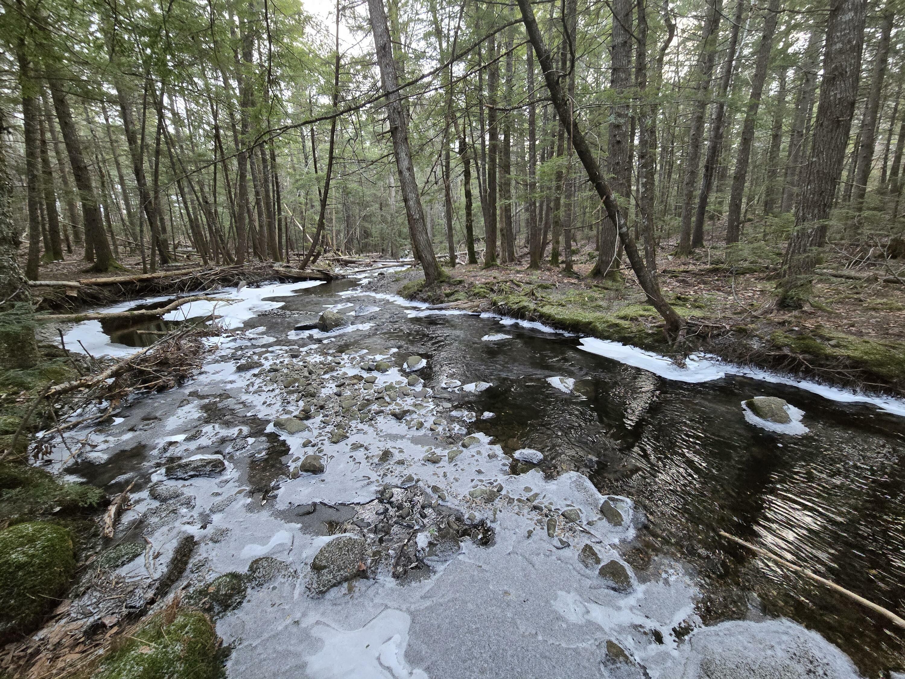 Property Photo:  58 Beech Hill Pond Road  ME 04429 