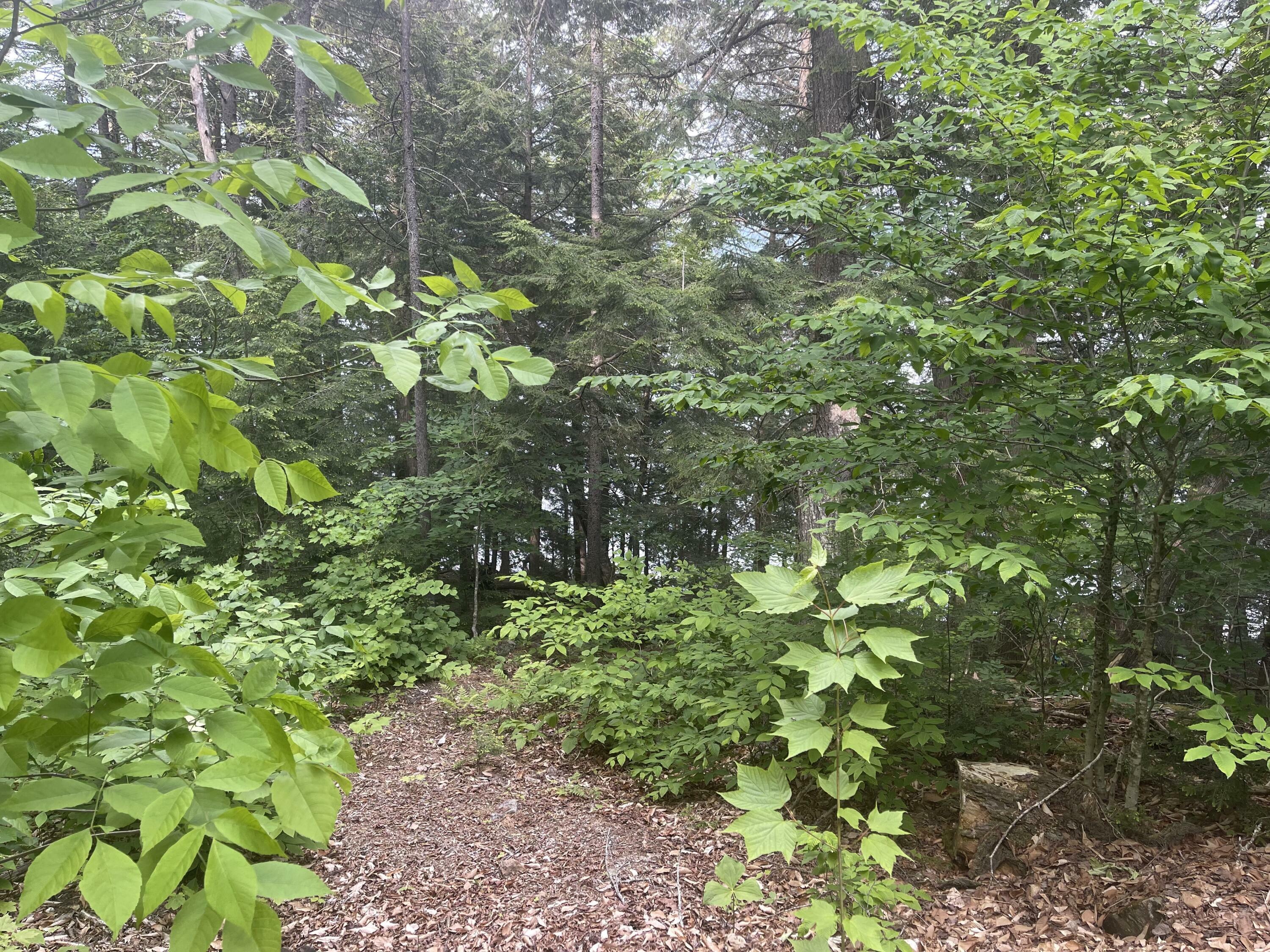 Property Photo:  Lot 15A-2 Scammon Road  ME 04441 