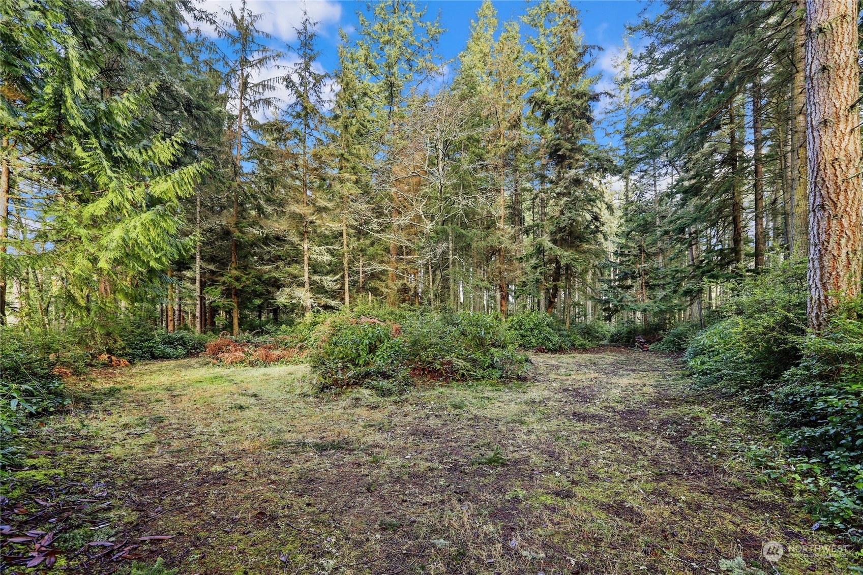 Property Photo:  2625  Dreamland Lane  WA 98260 