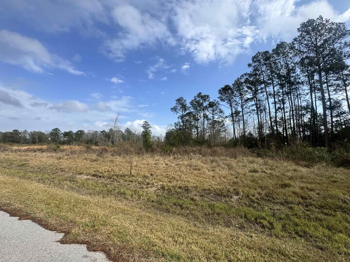 11225 Oak Forest Lane  Beaumont TX 77705 photo