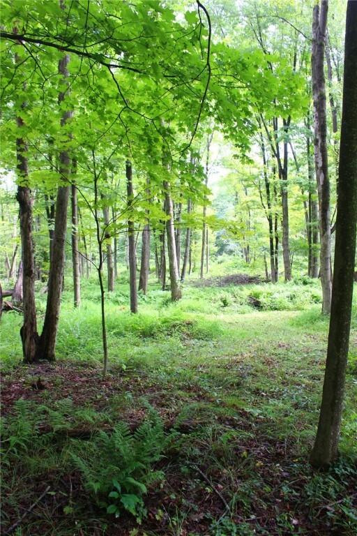 Property Photo: 0 SR 258 PA 16127