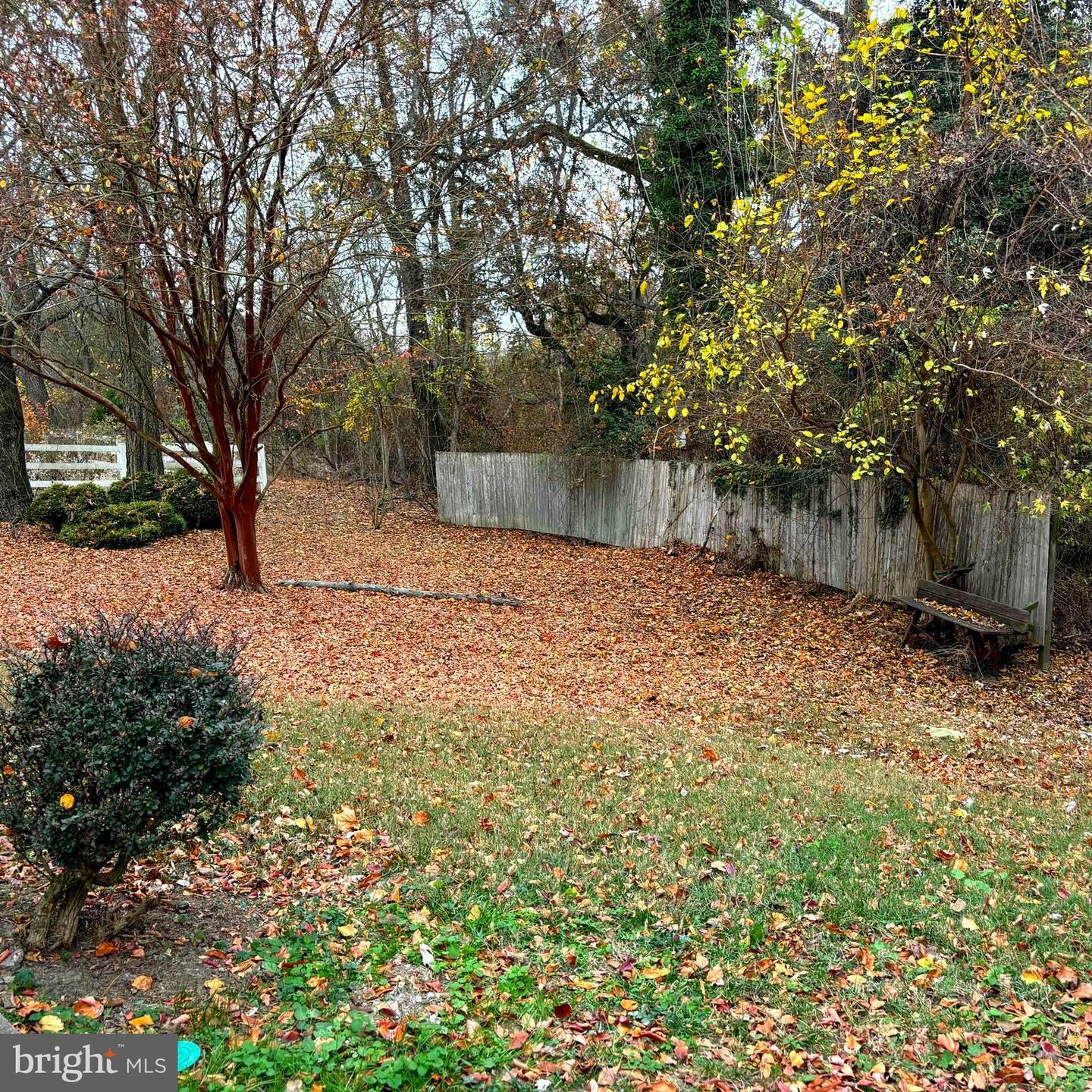 Property Photo:  10724 Foreston Road  MD 21620 