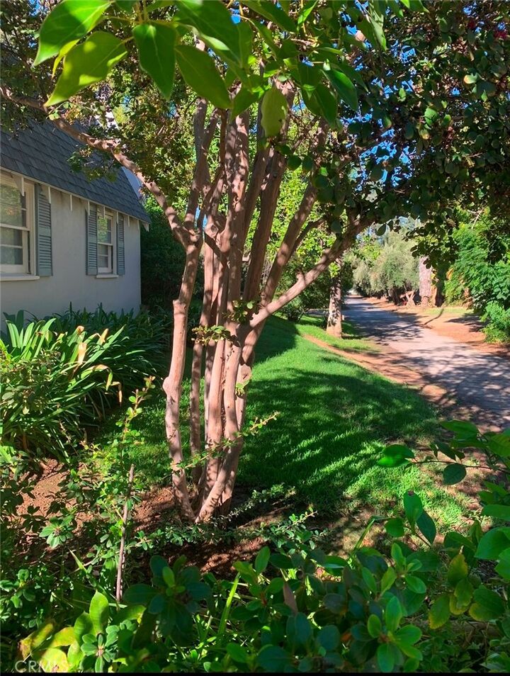 Property Photo:  124 Franklin Avenue  CA 92373 