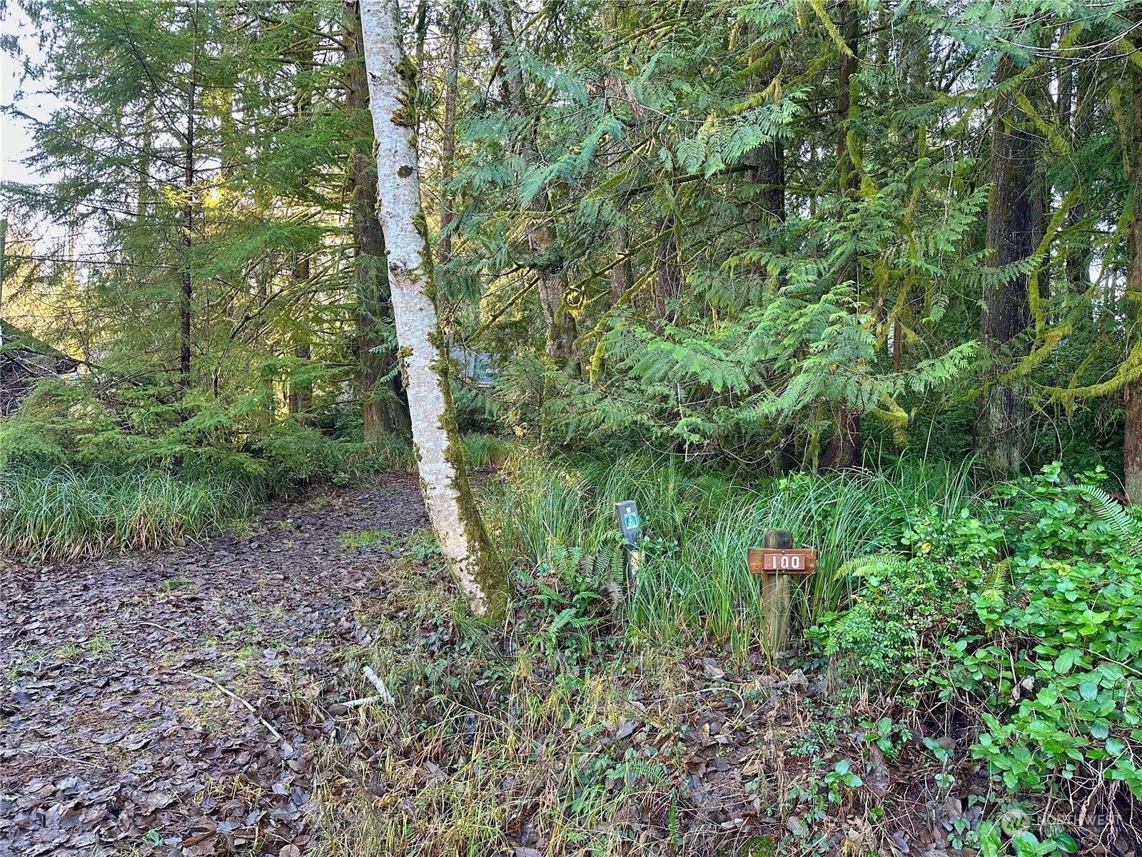 Property Photo:  100 E Liberty Road  WA 98584 