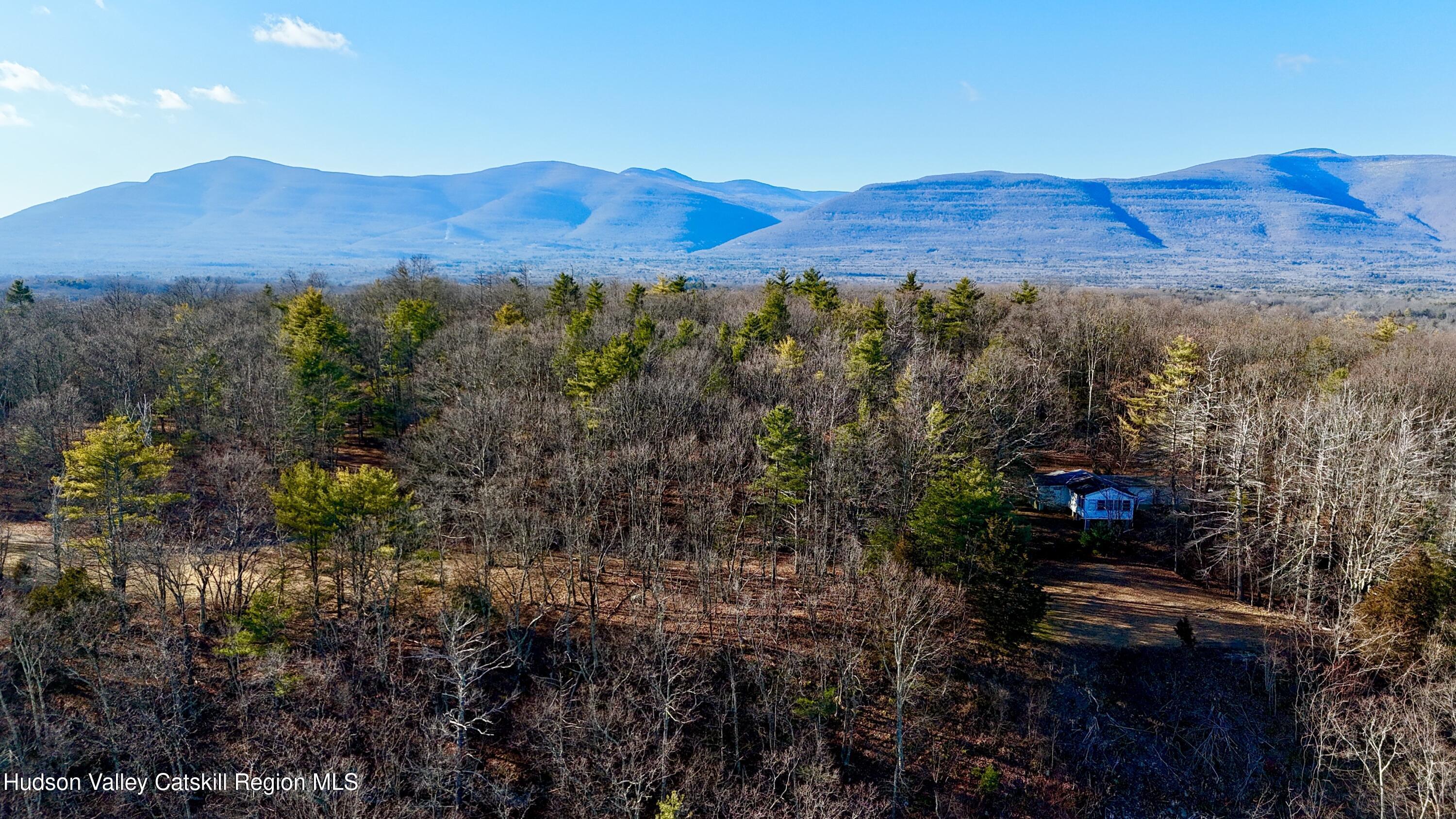 Property Photo: 157A Mt Airy NY 12477
