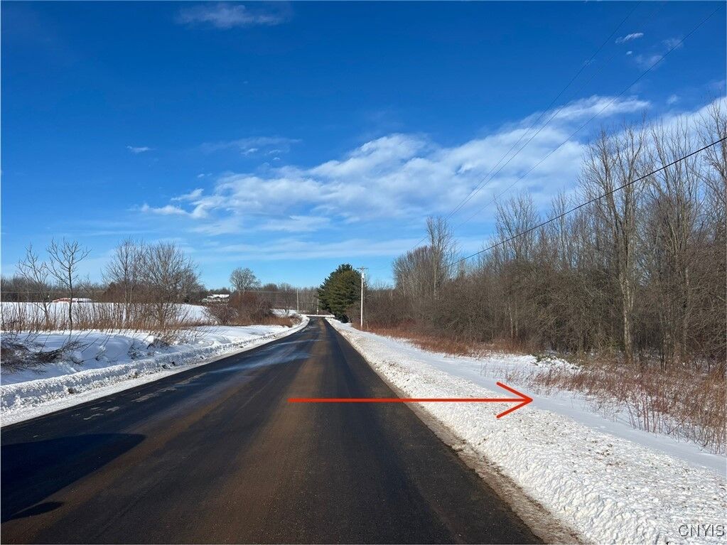 Property Photo:  Hanley Road  NY 13069 