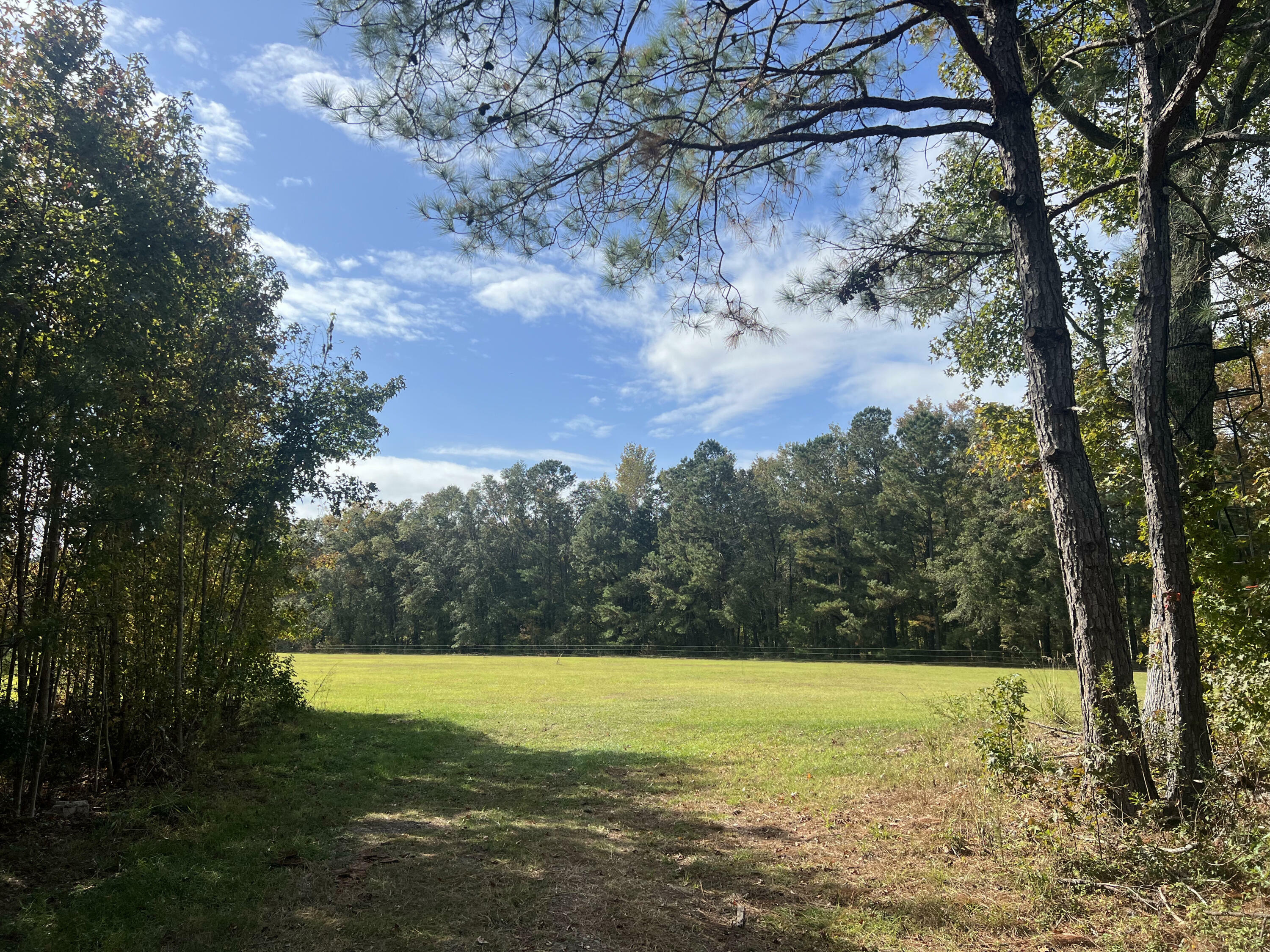 Property Photo:  0 Independent School Road  SC 29471 