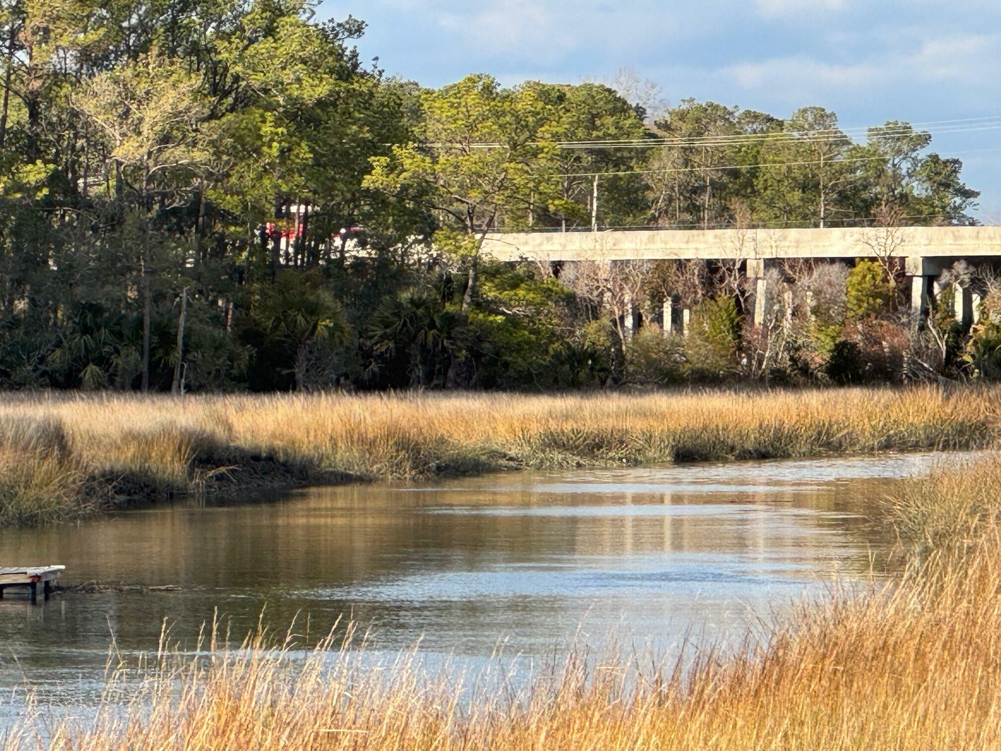 Property Photo:  120 Andrew Lane  SC 29492 