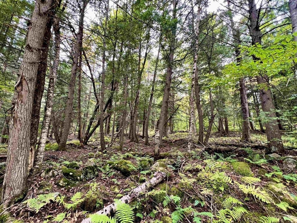 Property Photo: 0 Kidder Road VT 05033