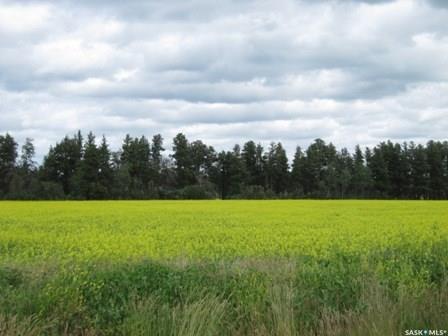Rural Address  Nipawin Rm No. 487 SK S0E 1E0 photo