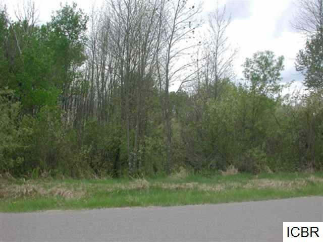 Property Photo: Lt 4 Blk 4 Aspen Dr MN 56636