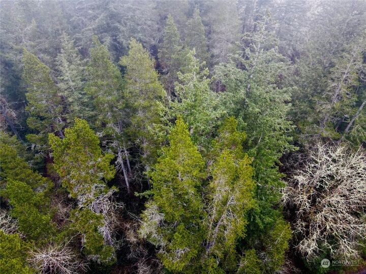 Property Photo:  0  Pine Tree Road  WA 98591 