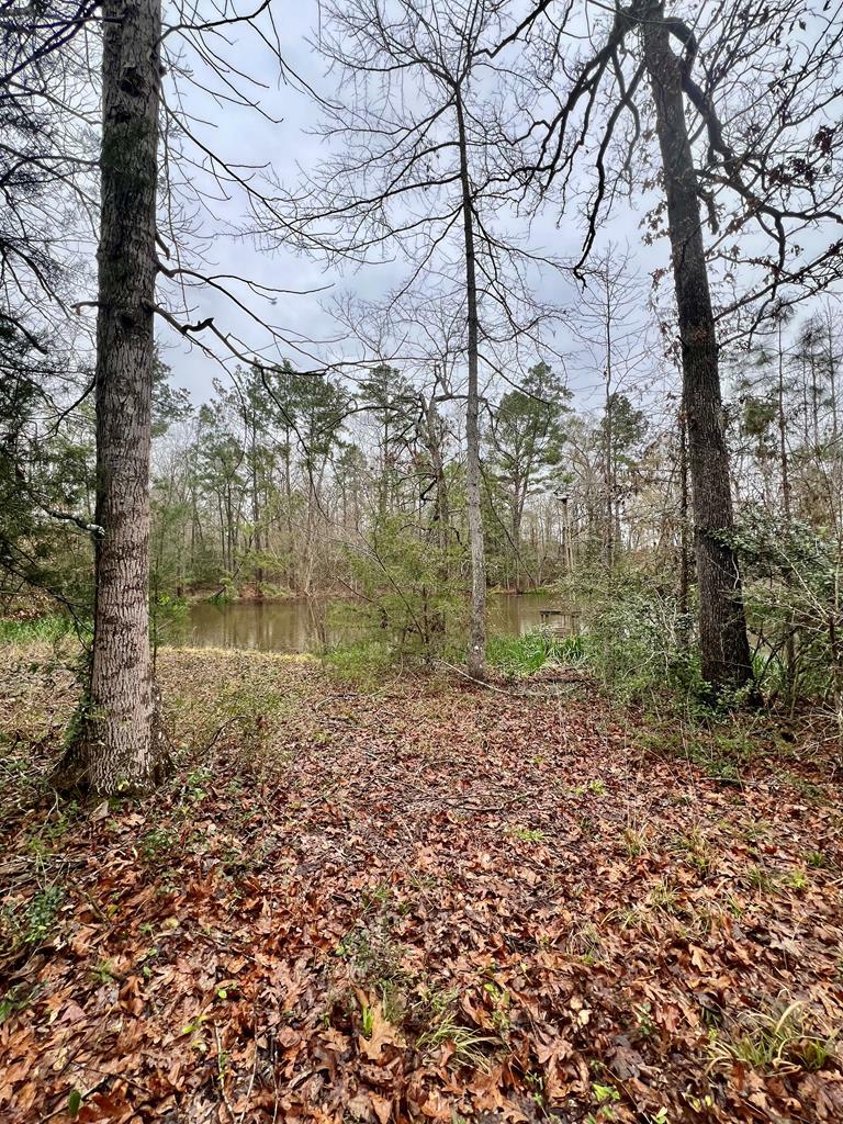 Property Photo:  R16068 Bates Road  TX 75901 