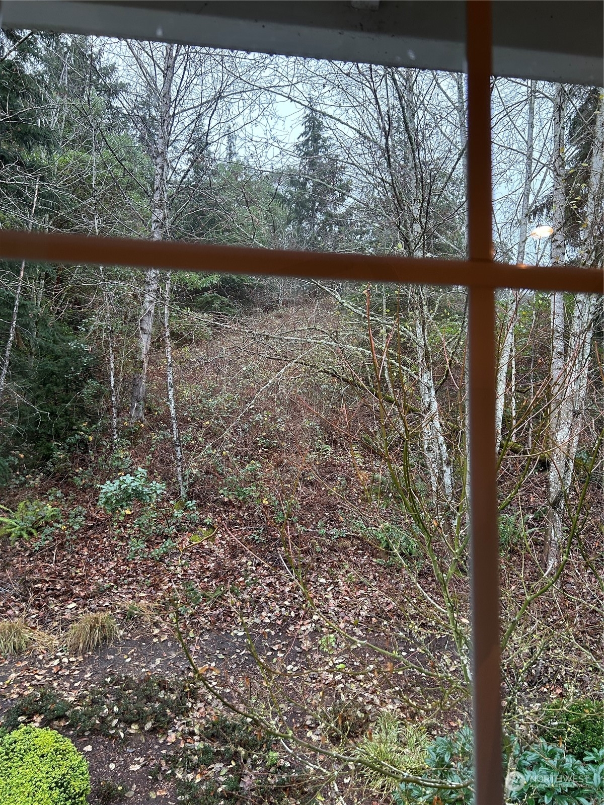 Property Photo:  12198 NE 24th Street  WA 98005 