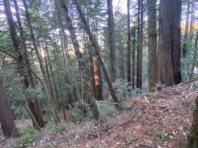 Property Photo: 0 Swett Road CA 94062