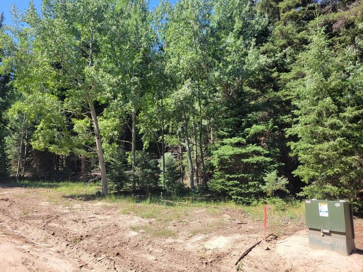 Property Photo:  Lot 45 Pinon Dr  UT 84762