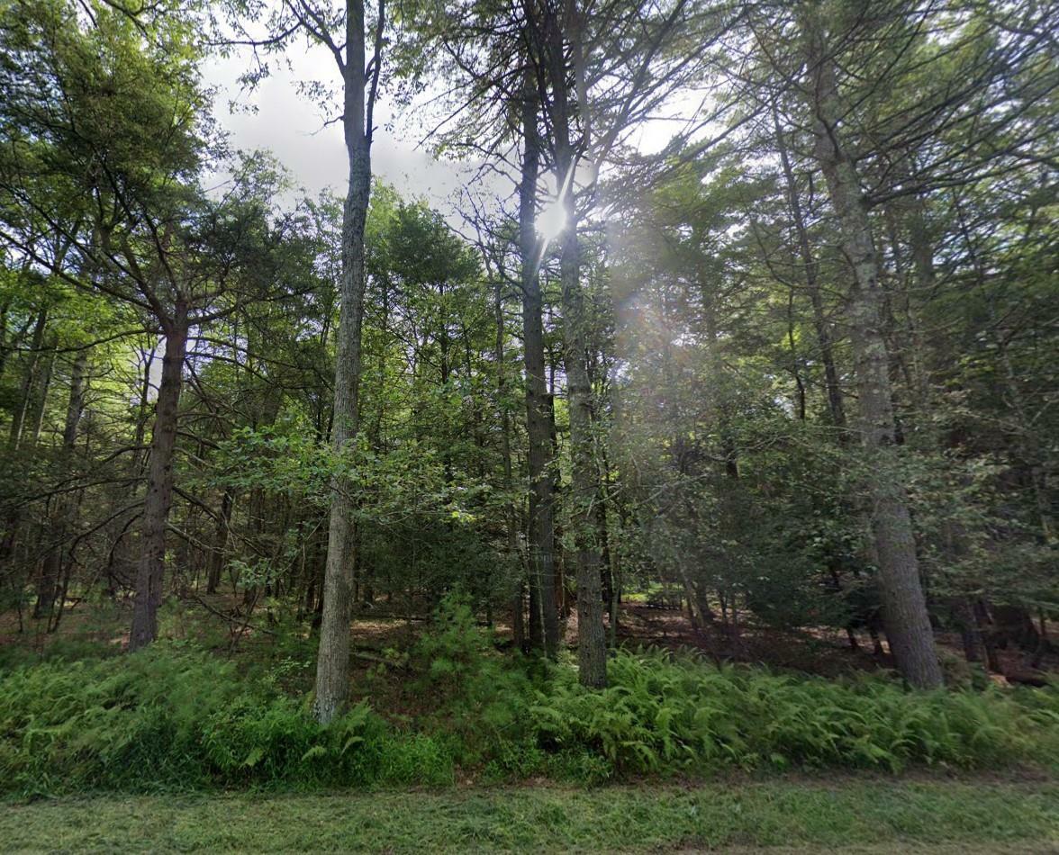 Property Photo:  Barker Rd  NY 12732 