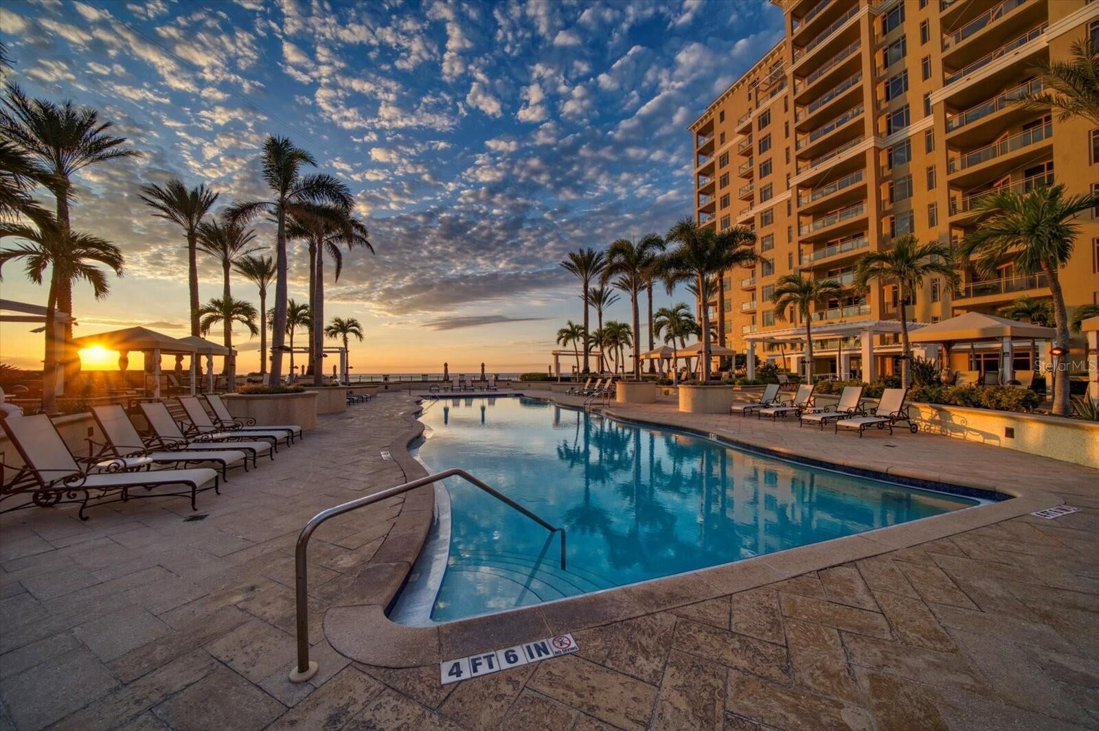 Property Photo: 470 Mandalay Avenue 306 FL 33767