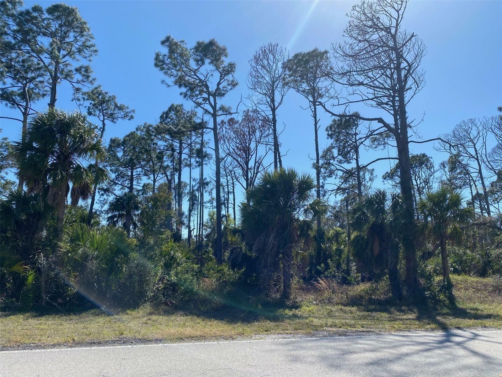 Property Photo:  17467 And 17475 Hillsborough Boulevard  FL 33954 