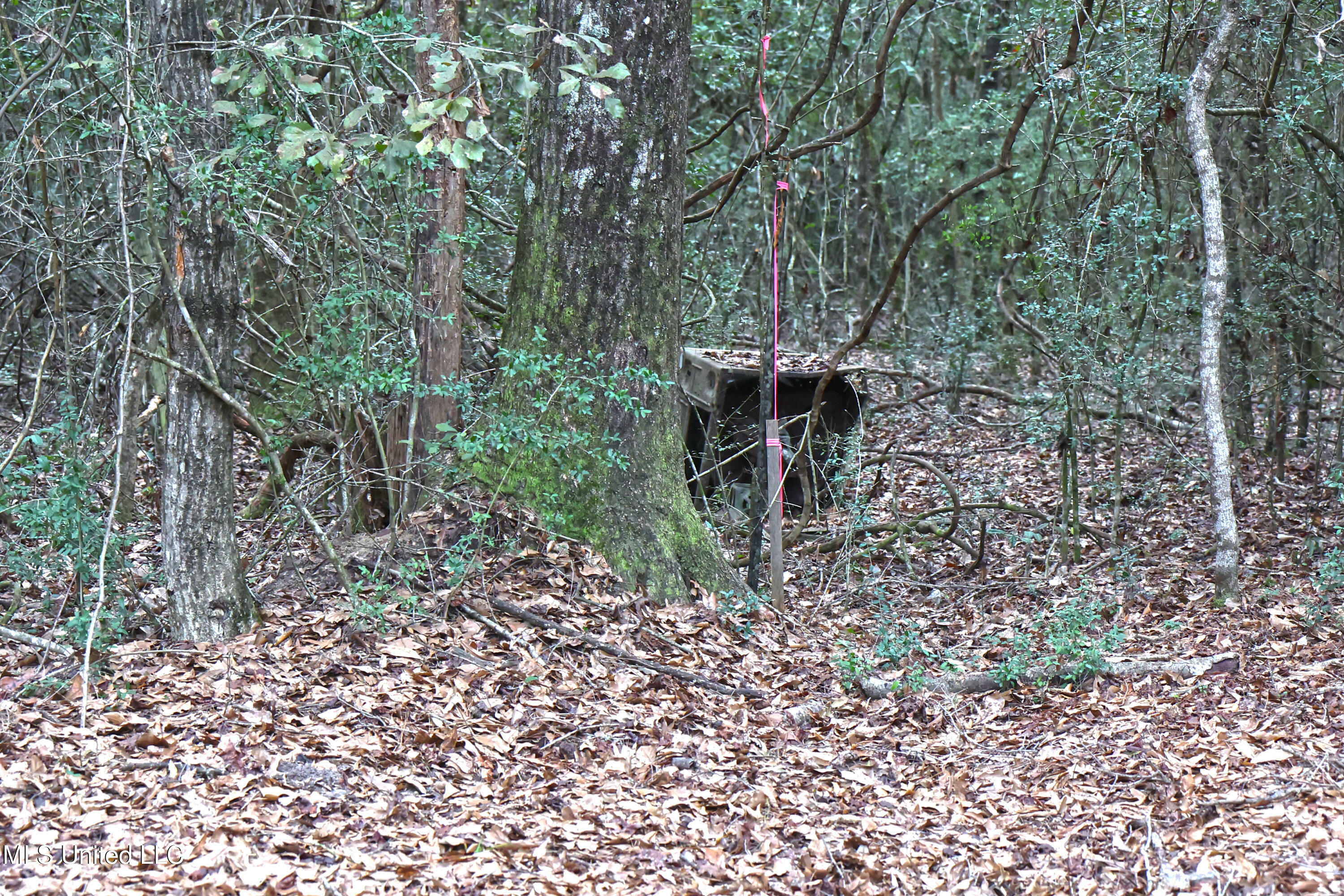 Property Photo:  0 Ramie Farm Road  MS 39452 