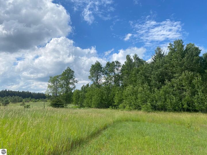 Property Photo:  E 40 Road  MI 49601 