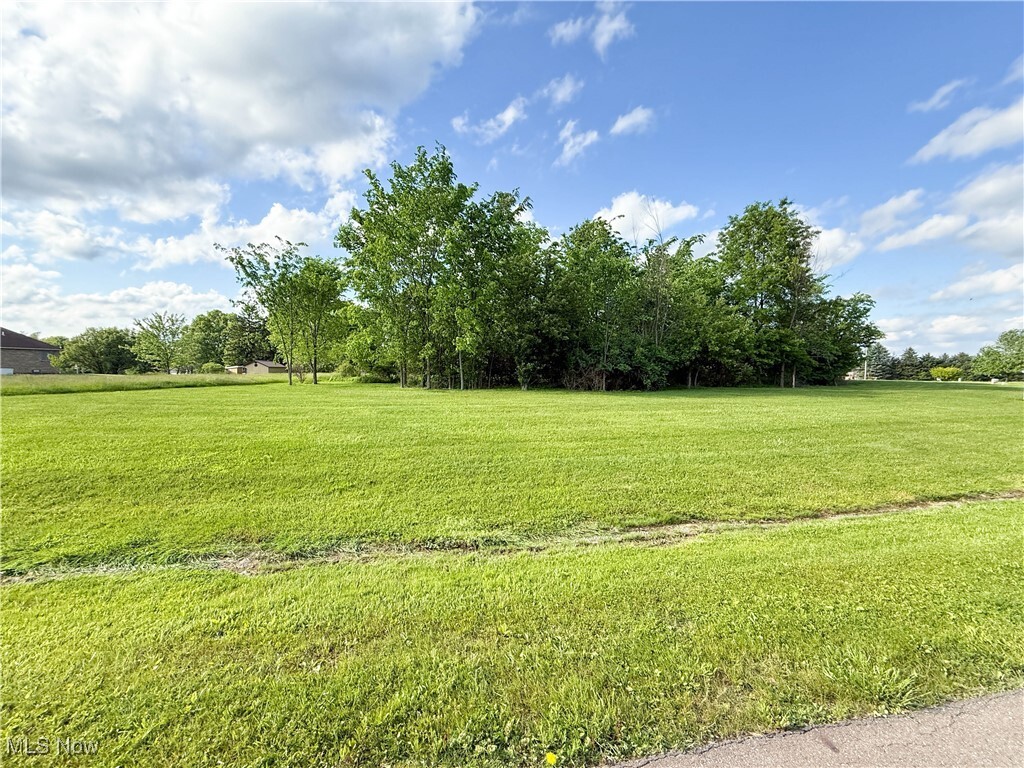 Property Photo: 49556 Foxwood Lane OH 44413
