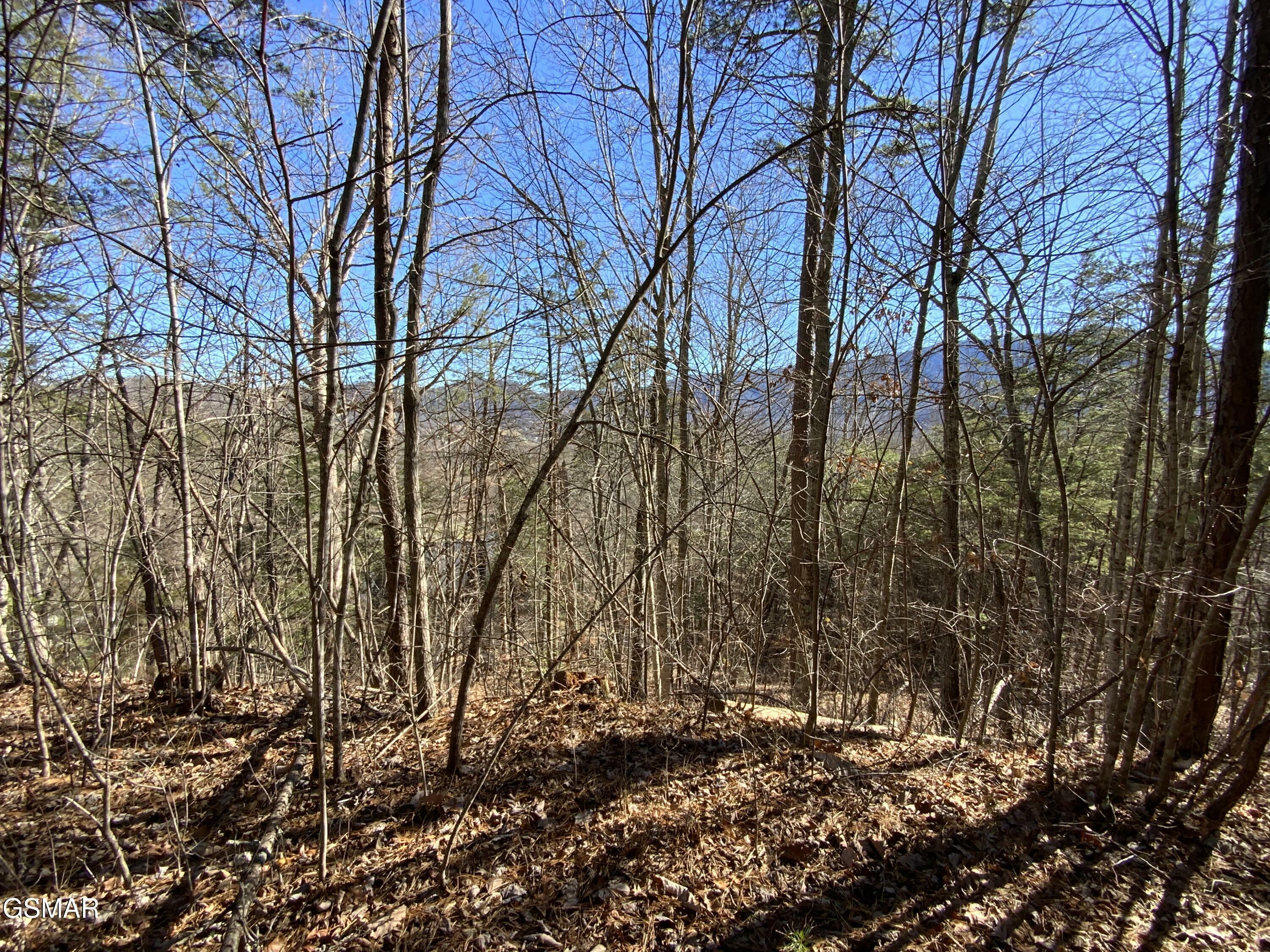 Property Photo:  Lot 7-R Hatcher Mountain Road  TN 37862 