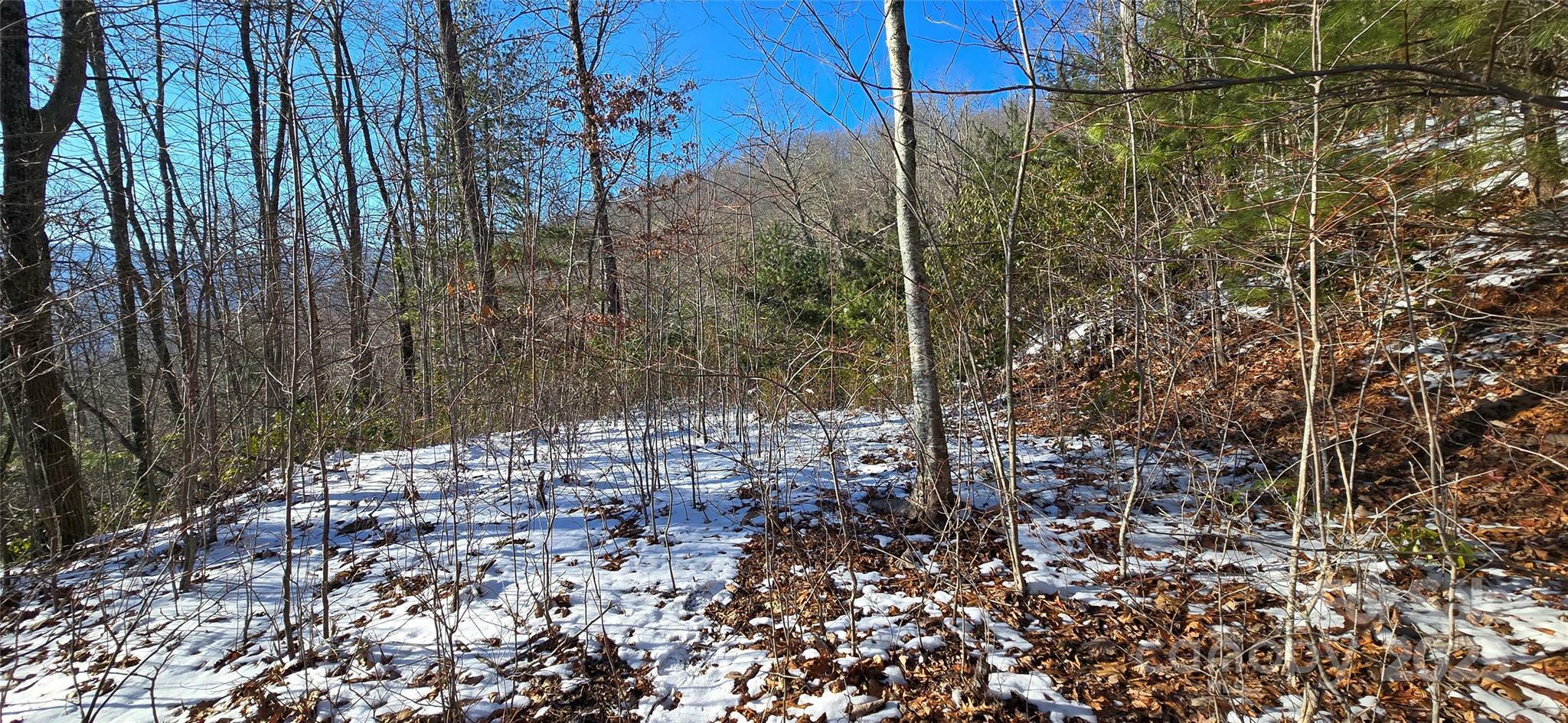 Property Photo:  Lot 11 Bernies Trail  NC 28785 