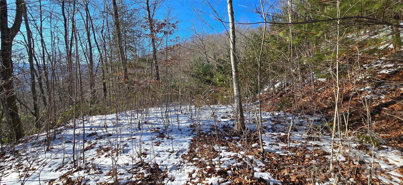 Property Photo: Lot 11 Bernies Trail NC 28785