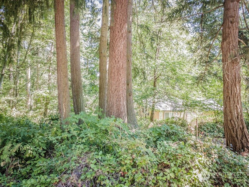 Property Photo:  28  Buckhorn Place  WA 98368 
