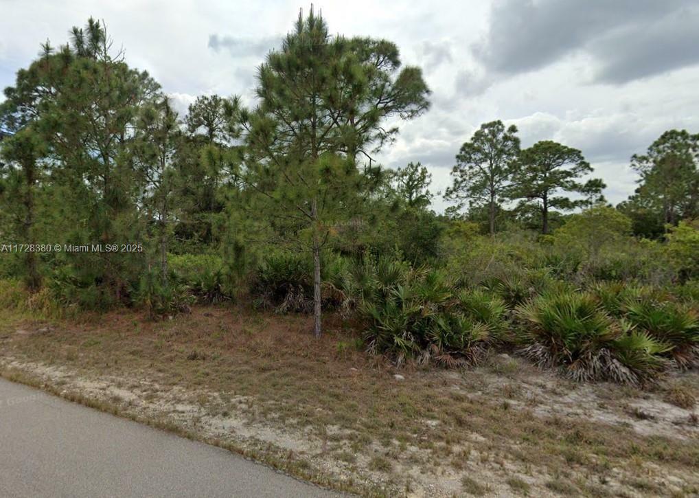 Property Photo:  4605 Karen Ave North  FL 33971 